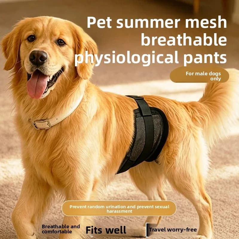 Male Dog Belly Bands Breathable Mesh, Leak-Proof Security Wrap for Summer, Adjustable Washable