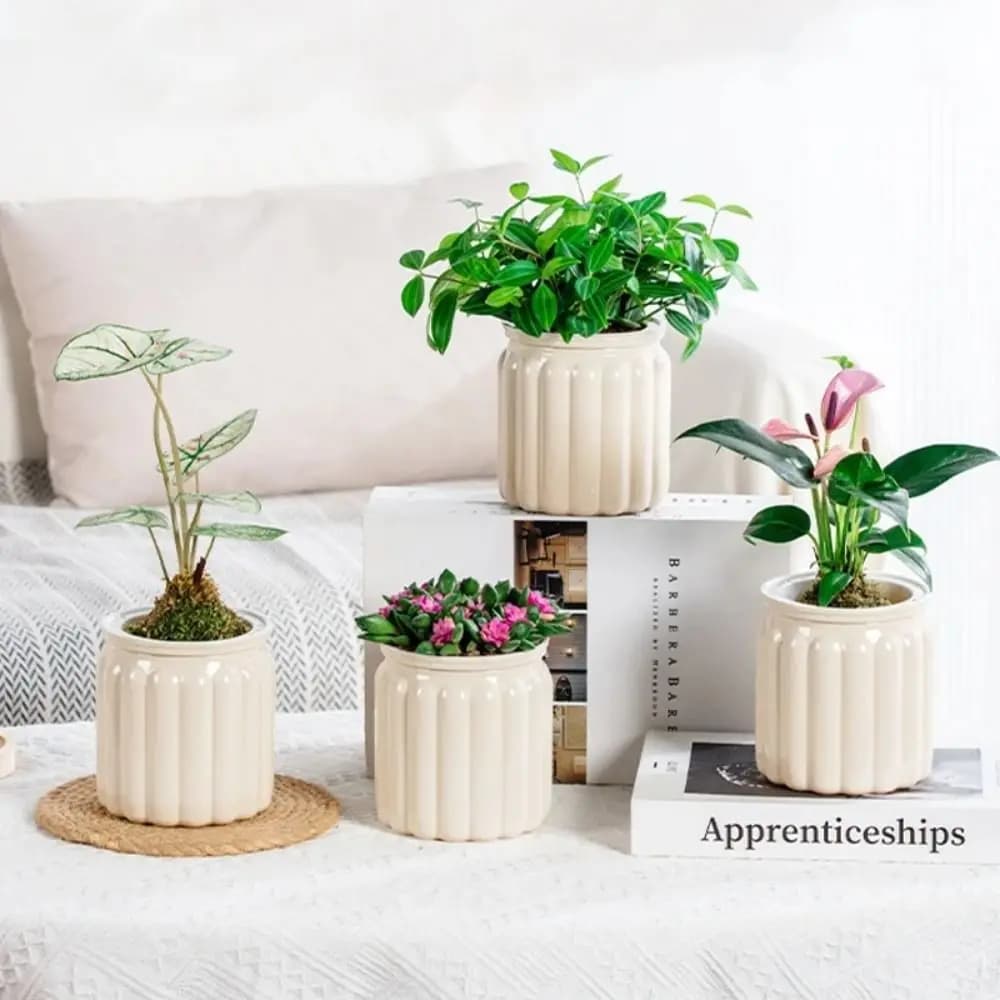 New hydroponic plant vase with automatic irrigation, mini plastic removable succulent planter, table vase, office bonsai decoration