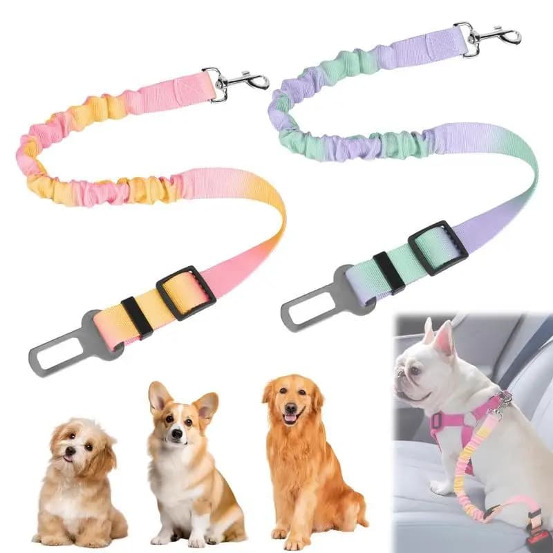Cintura di Sicurezza per Cani, Accessorio per Sedile Auto per Cuccioli Piccoli e Medi, Fibbia di Sicurezza per Gatti, Forniture per Cani da Combattimento Teddy