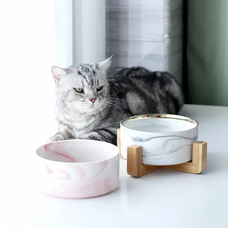 Ciotola per gatti in ceramica Ciotola per cani Ciotola per acqua per alimentazione per animali domestici Alimentatore per cuccioli di gatto Forniture per prodotti Ciotole per cibo e acqua per animali domestici per cani Nuovo