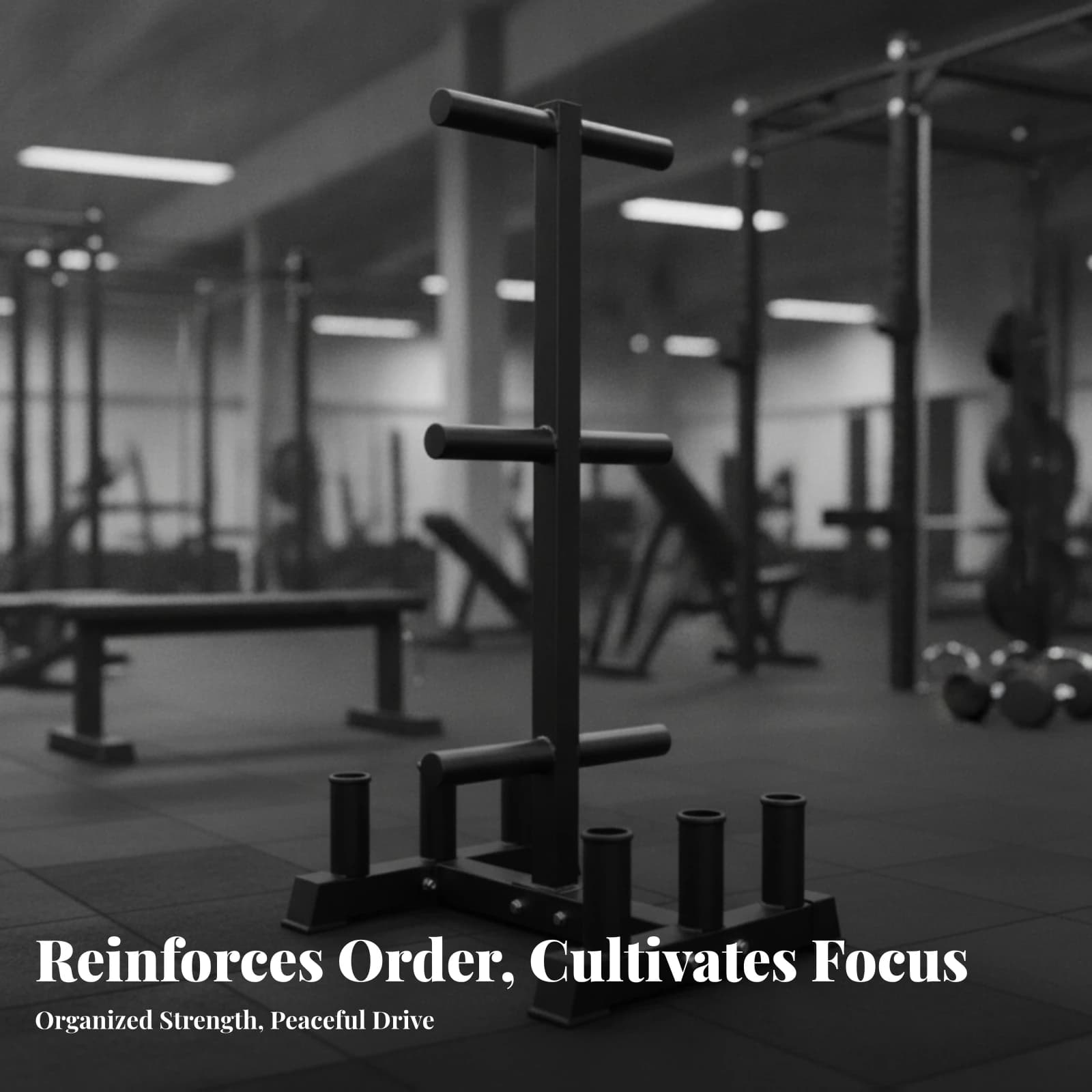 Weight Storage Rack with Barbell Holders Heavy-Duty Plate Rack with Barbell Holders Organizer Compact Stable for Home Gym Owners