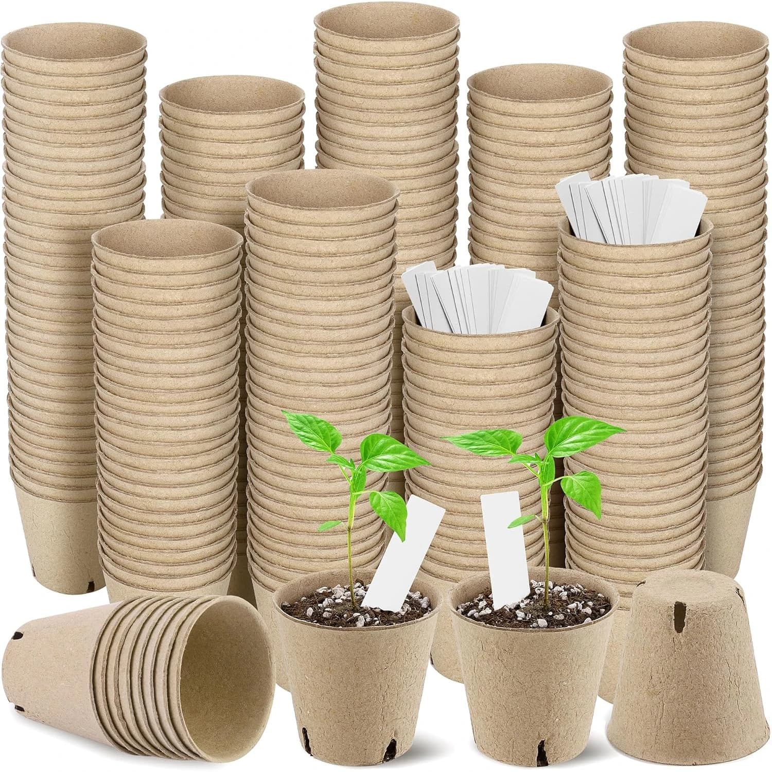 Initial Kit for Ecological Garden: Biodegradable Jars in Card, Planters in Polpa, Trapiants in Torba, Trays for Germination Semi