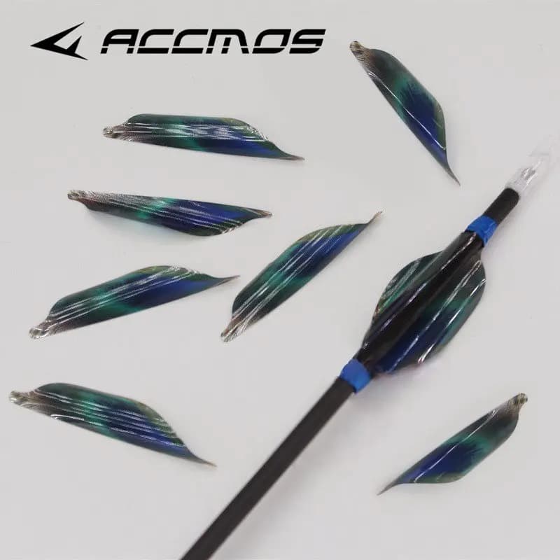 50 Pezzi/Scatola Alette a Spirale per Tiro con l'Arco | Alette in plastica per frecce, per mano sinistra o destra, accessorio fai da te per tiro, 4 colori