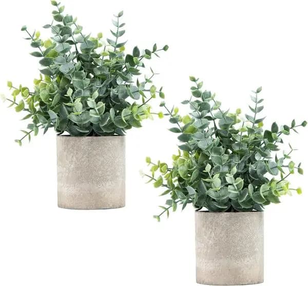 Set of 2 Small Artificial Eucalyptus Plants in Shelves, Desks, House, Bathroom, Rustic Style
