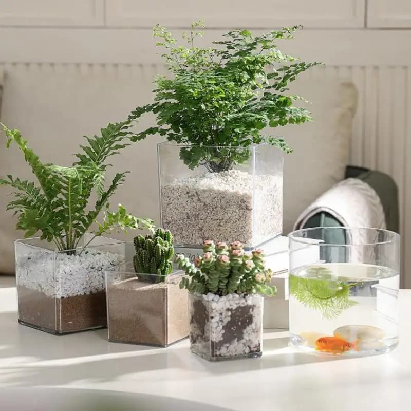 # Vasi per piante in acrilico trasparente quadrati/rotondi, vasi per bonsai, decorazione da tavolo per giardino, cortile, soggiorno, balcone