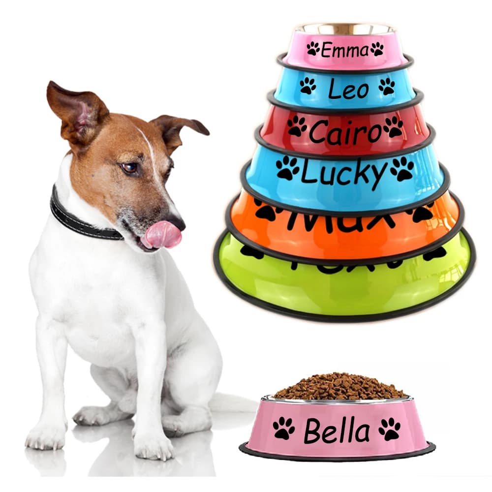 Nome personalizzato Cane Gatto Ciotola in acciaio inossidabile Animale domestico Acqua colorata Cibo Bacino da pranzo antiscivolo Ciotola circolare personalizzata Multi dimensioni