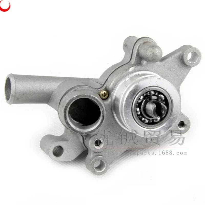 Adatto per pompa acqua 250 Jinlang 250 LH250 bici da spiaggia 300 accessori ATV300 gruppo pompa acqua
