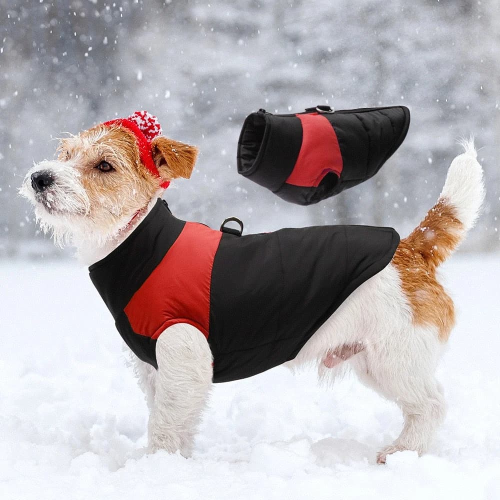Cappotto per cani per cani di piccola taglia Giacca invernale impermeabile per cani con imbracatura Cappotti per cuccioli integrati per la stagione fredda Gilet riflettente con cerniera