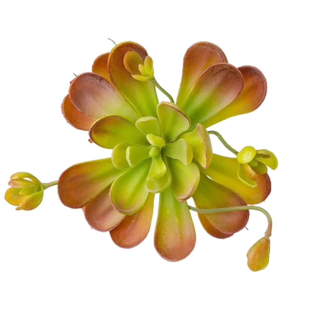 Fleshy Artificial Succulent Plant Lifelike Real Touch Fake Cactus Realistic Plastic Simulation Bonsai Plant Desktop Decoration
