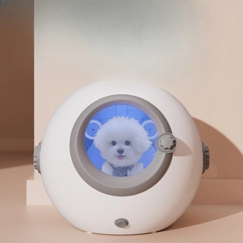 Dryer for cats, Water for dog hairs, Box to dry hair at constant temperature Terrarium Reptile Terrarium Terrarium Straight sand
