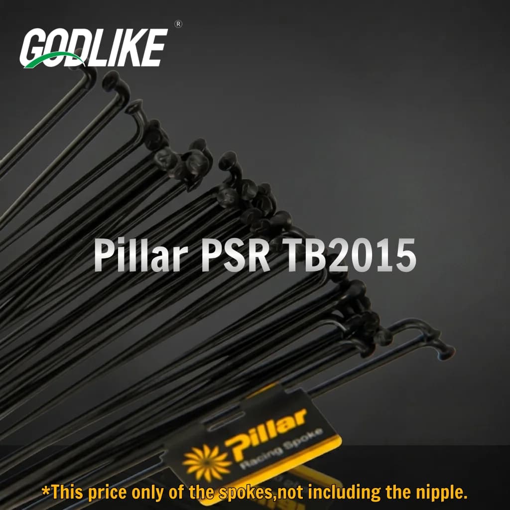 GODLIKE 12 pz/lotto Raggi per Bici TB2015 a J-Hook in Acciaio Inossidabile Leggeri a Triplo Spessore Calibro 14G 2.0mm Acciaio 254-306mm