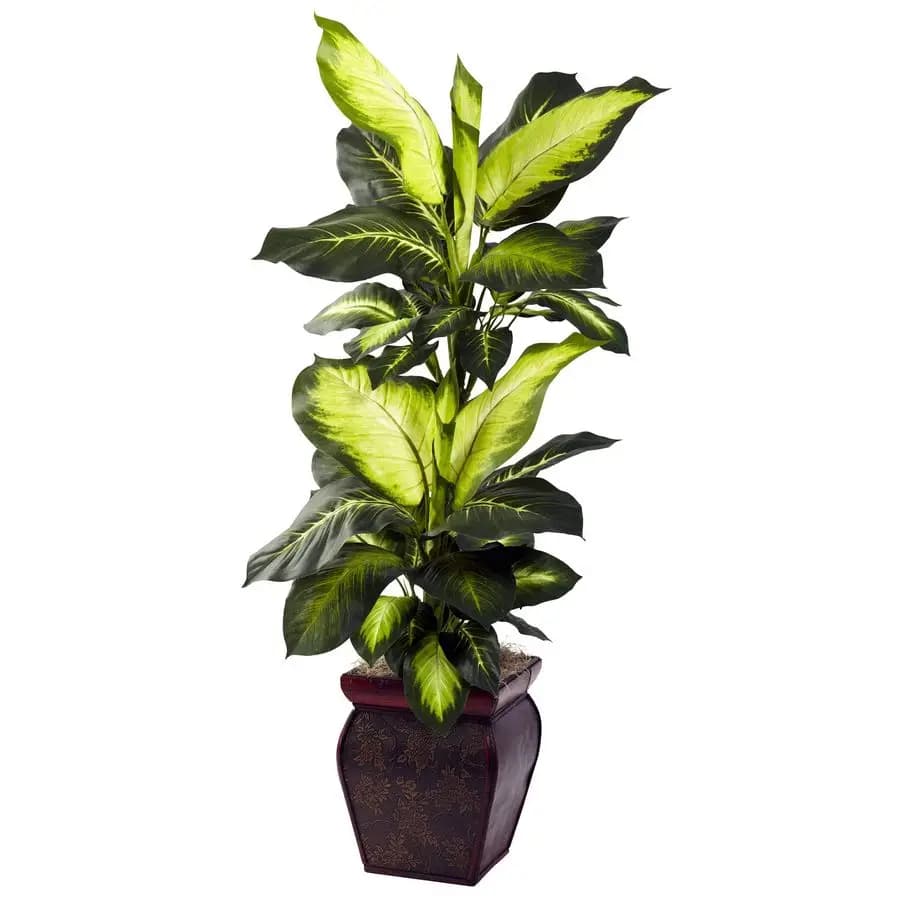Artificial dieffenbachia, floor plan with decorative flower for the interior decor of the house