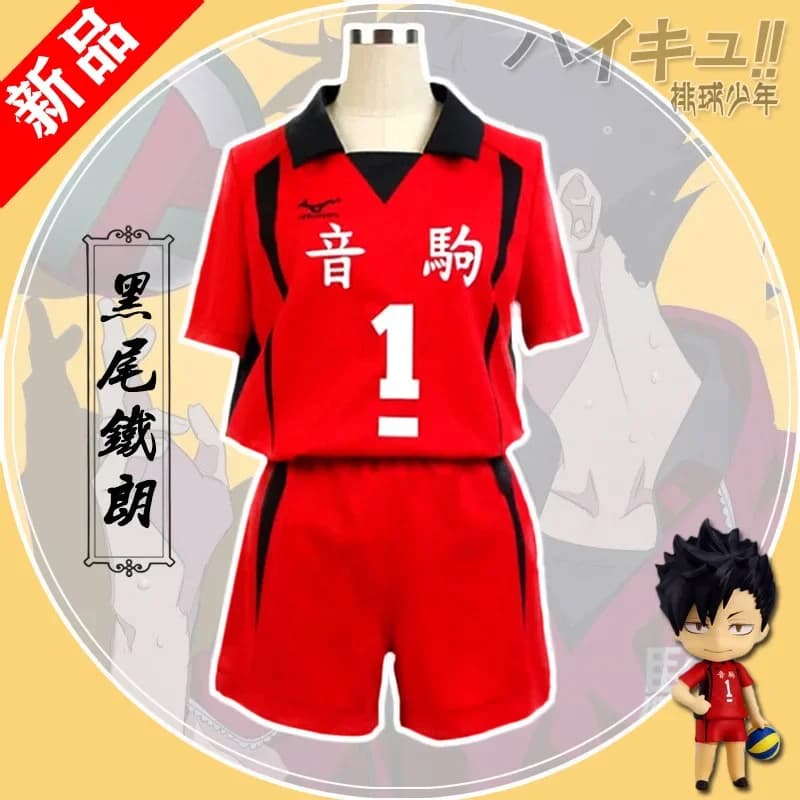 Costume Cosplay Anime Haikyuu, T-shirt Set and Volleyball Shorts for Young People, Hinata Shoyo Sportswear, Adult Mesh, Gifts