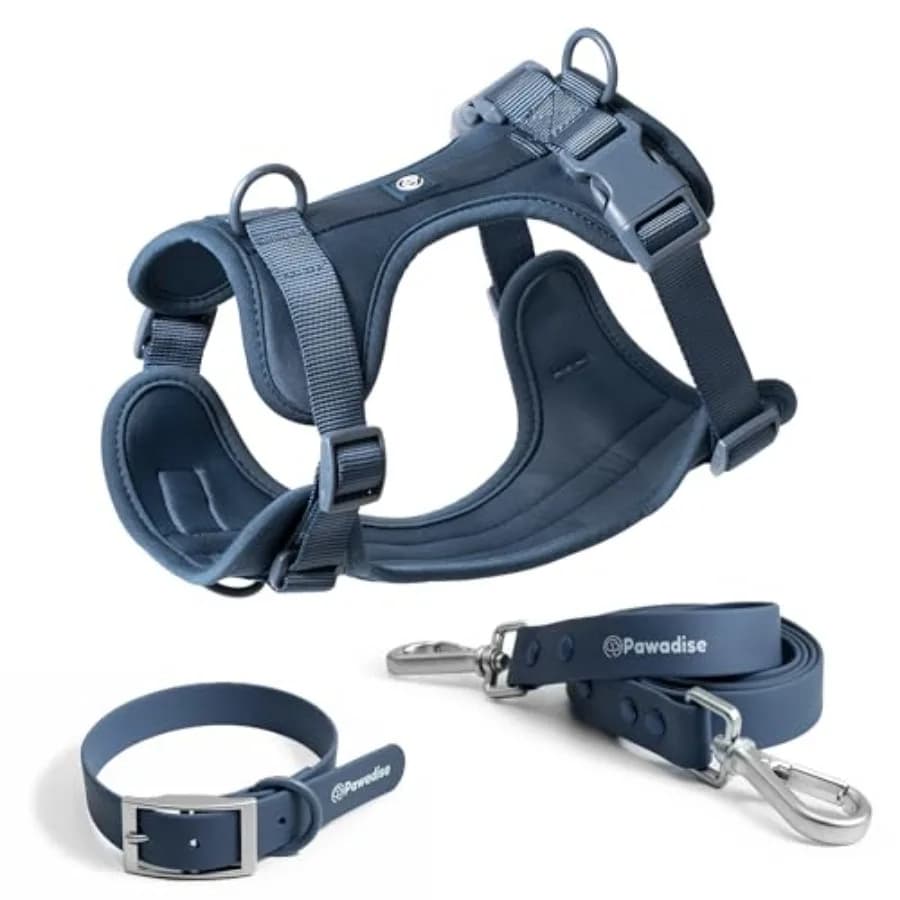 Set Pettorina, Collare e Guinzaglio per Cani, Pettorina Regolabile Anti-Trazione con 3 Clip per Guinzaglio, Collare e Guinzaglio Coordinati Impermeabili e Traspiranti