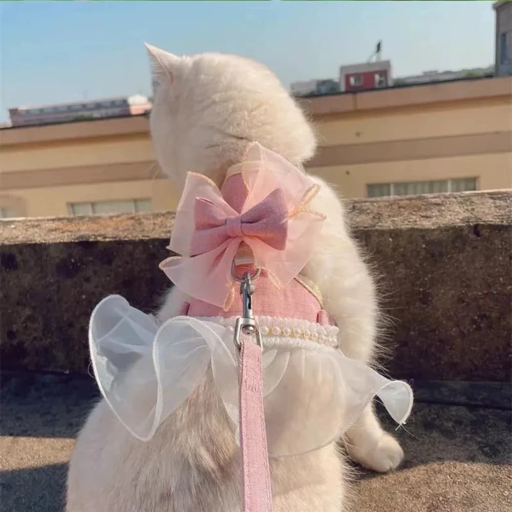Pettorina e Guinzaglio per Gatti Stile Principessa, Regolabile in Nylon, Traspirante con Fiocco, Corda di Trazione per Cani da Esterno