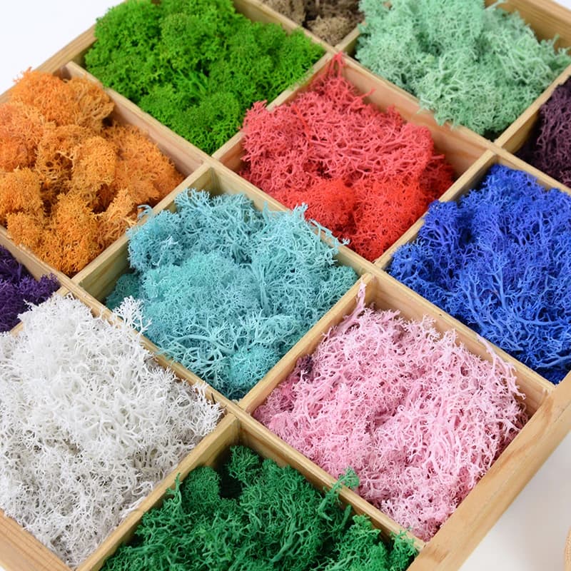 20/40g Piante verdi artificiali Vita eterna Muschio Artigianato fai-da-te Erba Casa Soggiorno Decorazione del giardino Mini Paesaggio Erba finta