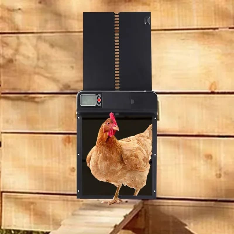 Porta Automatica per Pollaio con Timer, Controllo Intelligente Anti-Pizzicamento, Impermeabile, Cancello Automatico per Polli da Fattoria