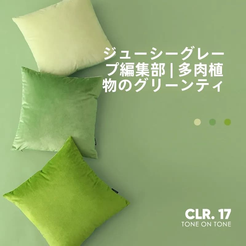 Fodera per cuscino in velluto verde primaverile/estivo Living Inc. per soggiorno e camera da letto, morbida e decorativa