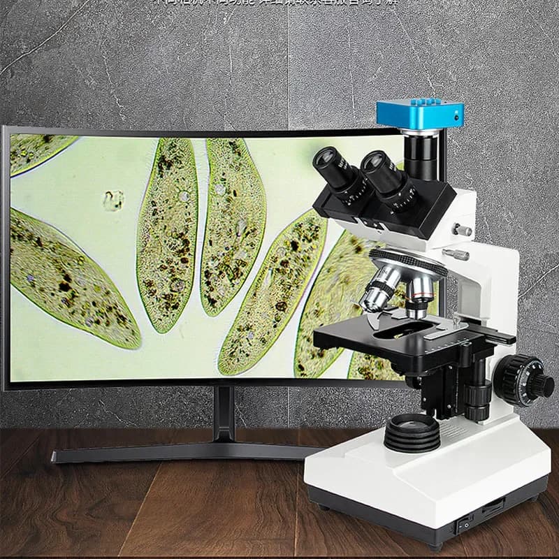 Obiettivo acromatico corretto infinito, microscopio biologico binoculare di livello di laboratorio, collegabile a un computer.