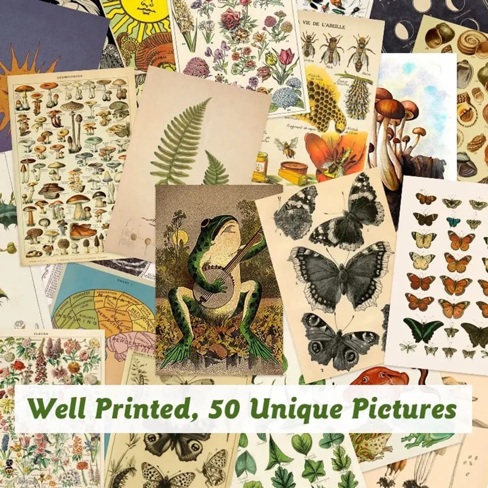F-3C 50 pezzi kit di collage da parete estetica tarocchi botanici vintage flora e fauna insetti illustrazione poster artistici carta arredamento della stanza