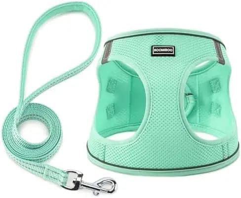 Set di imbracature per animali domestici con guinzaglio regolabile, design riflettente e facile da indossare per cani e gatti. Verde XS.