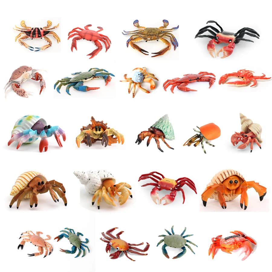 Animali oceanici realistici Granchio eremita Granchio di cocco Granchio Fiddler Modello di vita marina Action Figures Creature marine Giocattoli per la casa Decorati