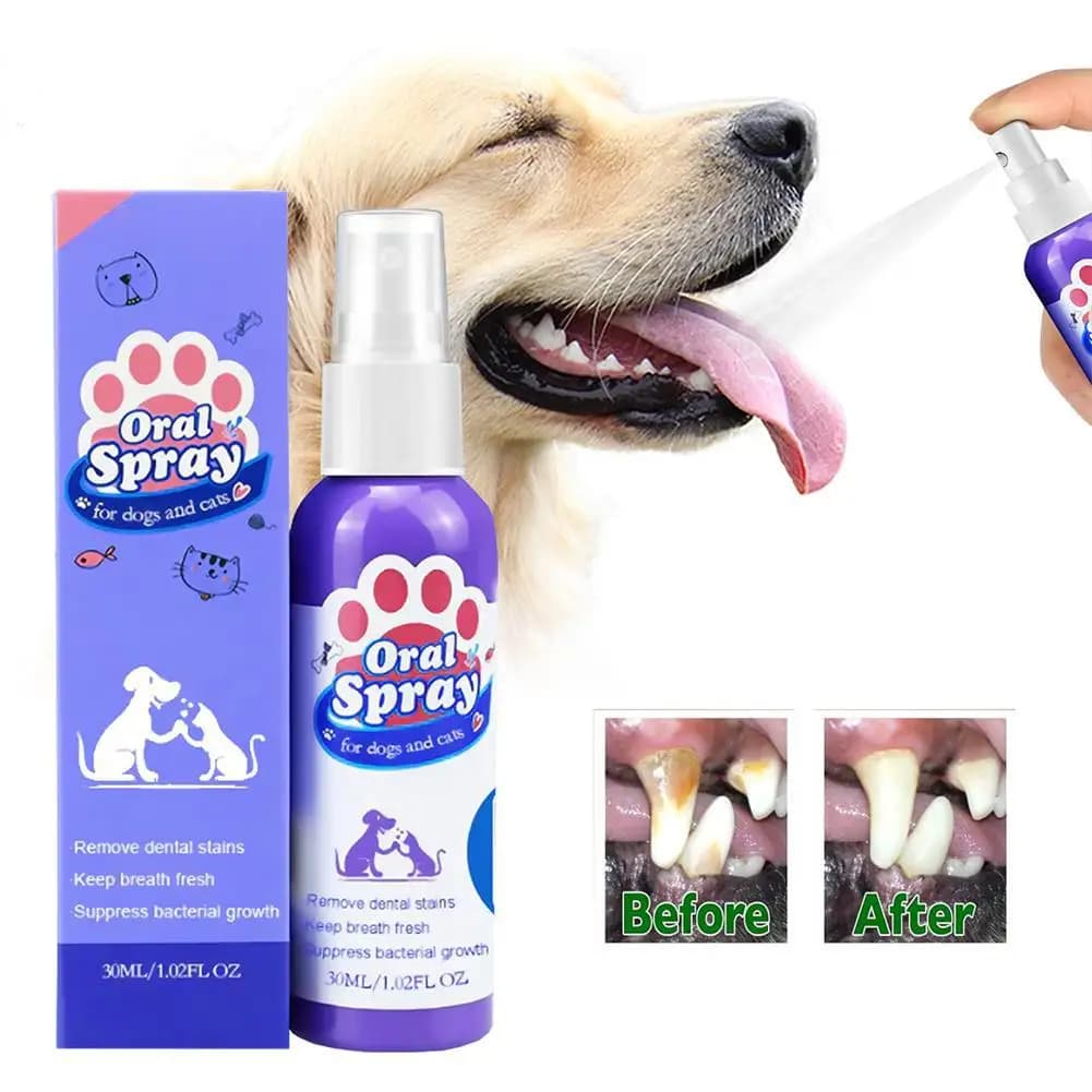 Spray per la bocca degli animali domestici, spray per l'alito fresco e la pulizia dei denti, spray per l'igiene orale dei cani, riduce la placca e il tartaro, bocca sana per cani