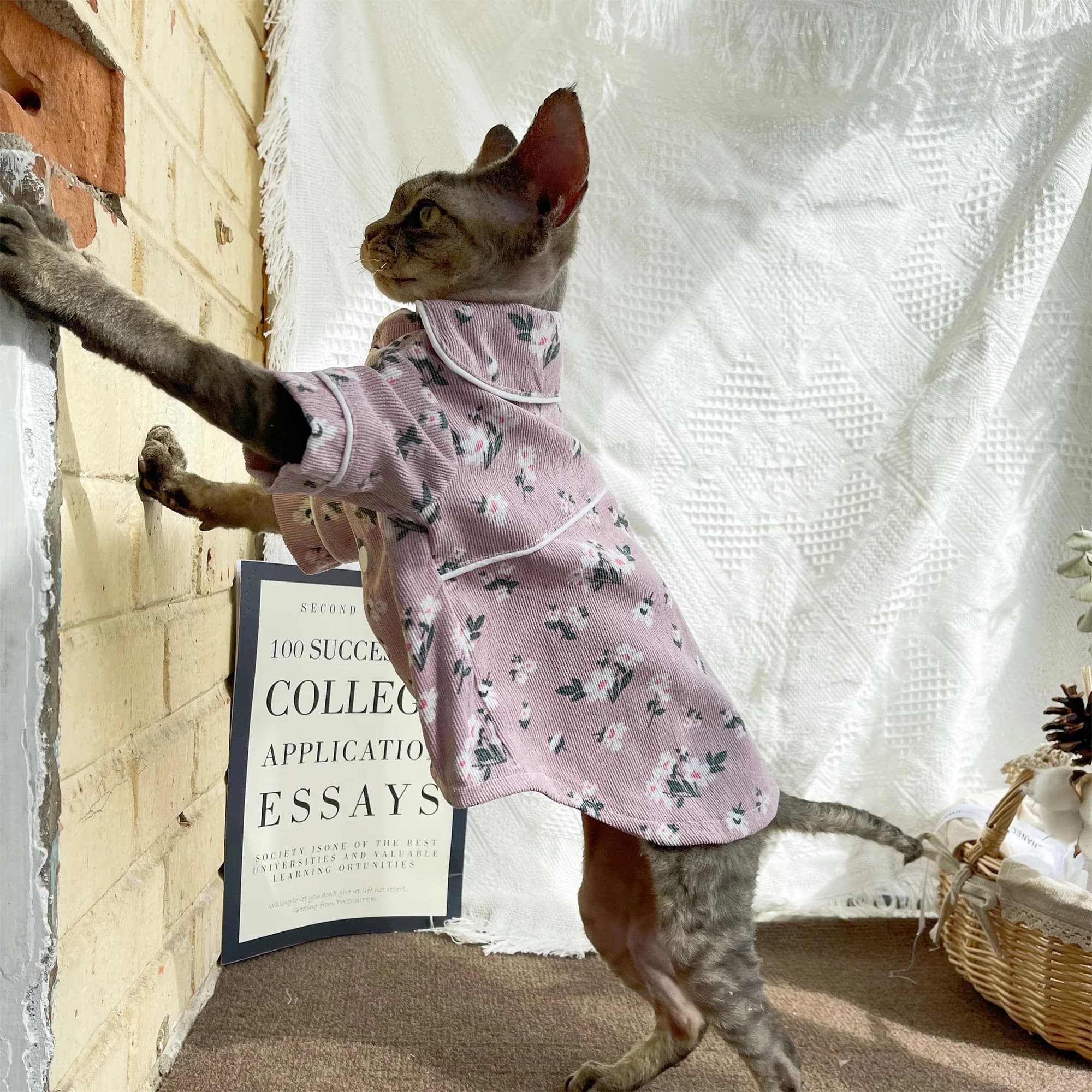 Pigiama traspirante in cotone 100% per gatto senza peli T-shirt estiva floreale viola dolce per Sphynx Devon Rex Loungewear in primavera