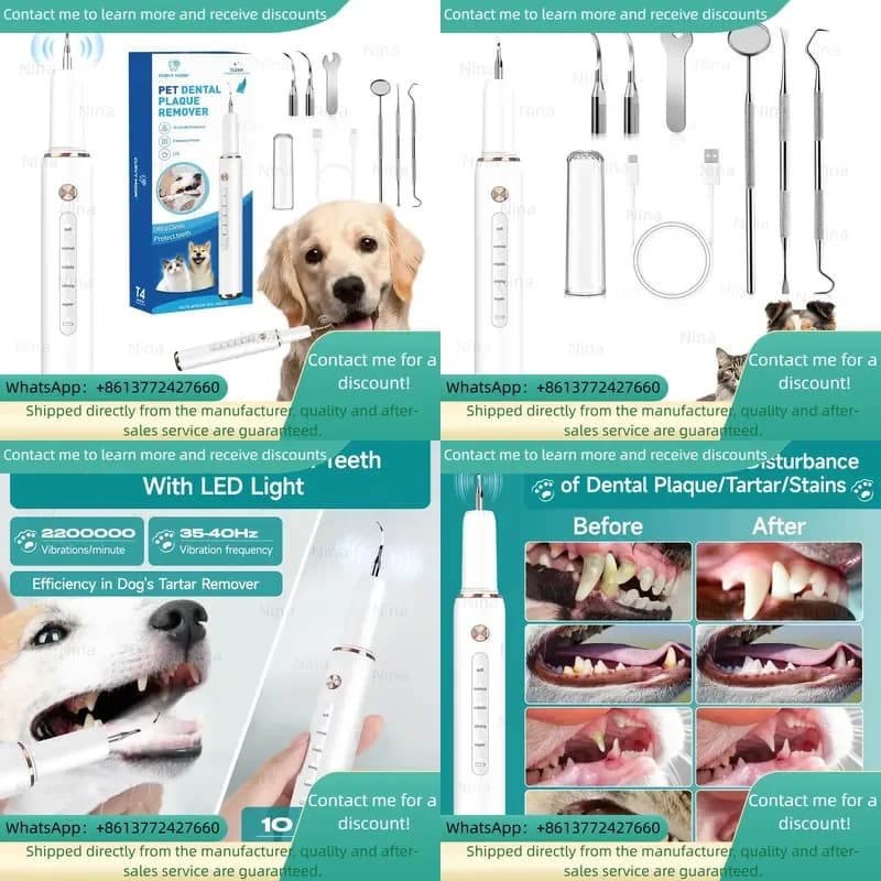 Teeth Cleaning Machine Plaque Calculus Tartar Pet Electric Kit Ultrasonic Toothbrush for Dog