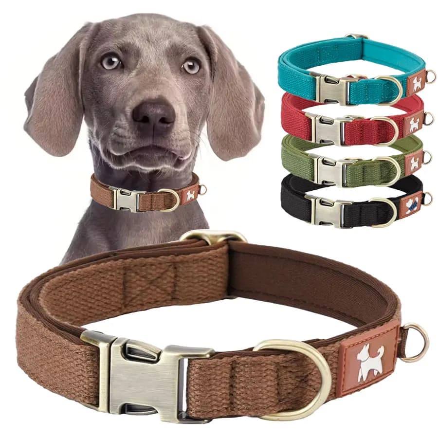 Collari per cani DC001 per cani di taglia media, collari per cani classici resistenti con fibbia in metallo a sgancio rapido, collare per cani di taglia media regolabile