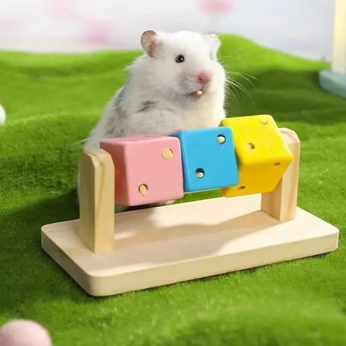 Giocattolo Interattivo da Masticare Colorato a Forma di Cubo di Rubik in Legno, Divertente Antistress per Piccoli Animali Domestici, Uccelli, Pappagalli, Criceti XCWJ110