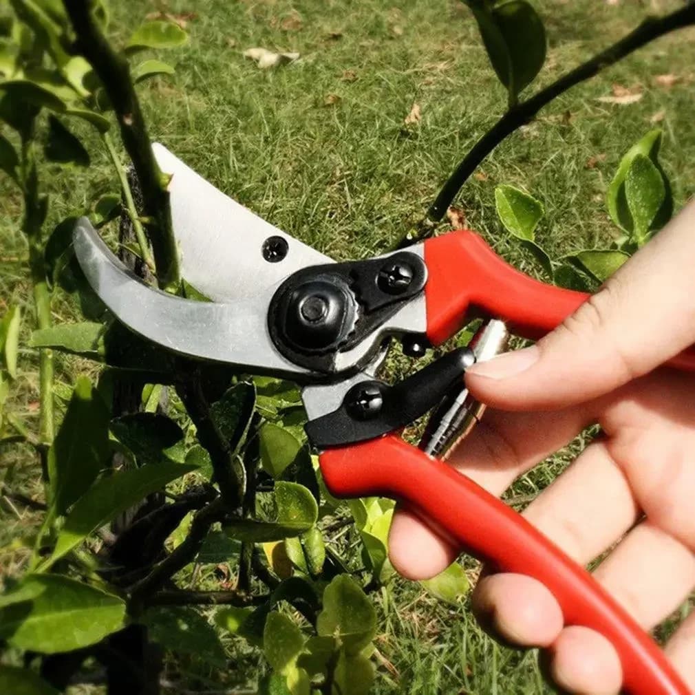 Steel Garden Scissors with High Carbon Tenor, Mounting Instrument, Fruit Tree Potting Shears, Bonsai Scissors, Garden Shears