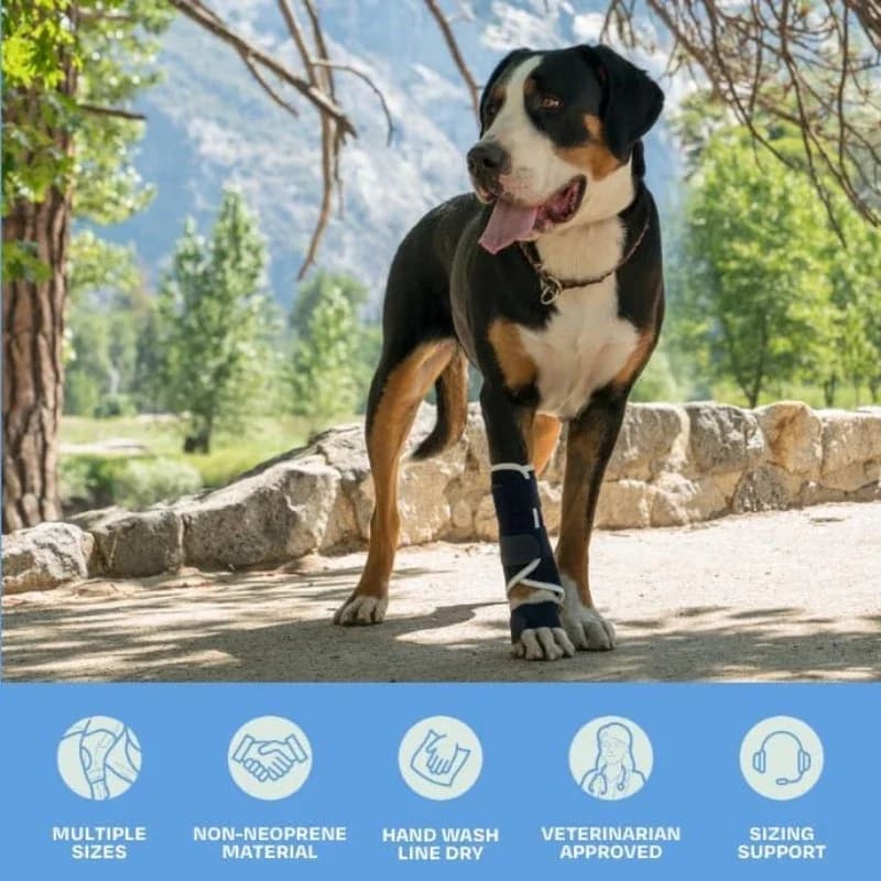 Tutore per cani per l'ipertensione carpale con stecca, supporta distorsioni delle fratture, supporto per la gamba anteriore (piccole razze) Tutore per stecca per caviglia