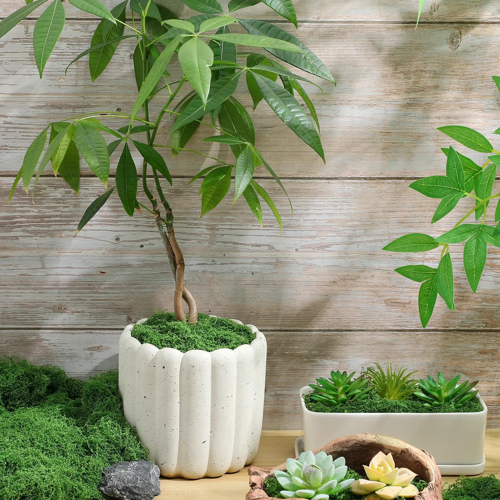 200G Realistic Artificial Musk for Indoor Plants, Land Creation, Fate Gardens, Home Decorations, Vase Filling, Green Musk