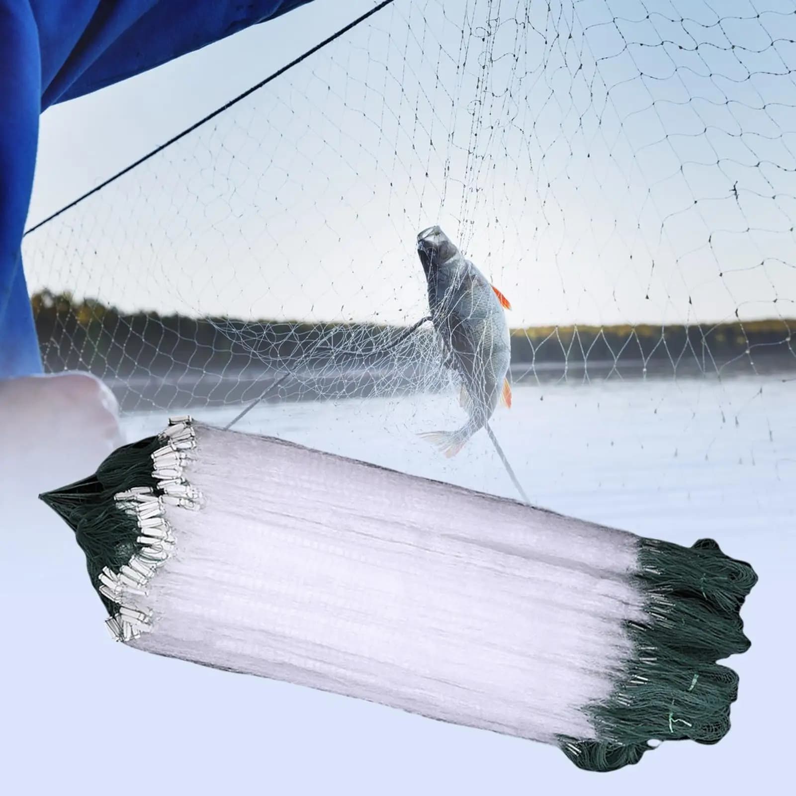 Reti Pieghevoli per Gamberi e Aragoste, Accessori per Trappole da Pesca, Rete Efficiente Multifunzionale per Acqua Dolce e Salata