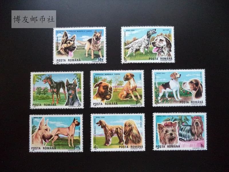 Romania Post Stamps Postage Y1990 Pet Dog International Dog Show Full Set 8 Collectible Postage Stamps Material For Scrapbooking