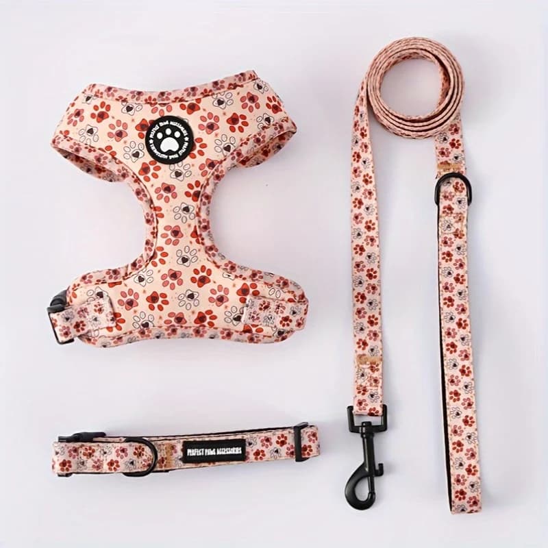 Set Pettorina e Guinzaglio per Cani in Tessuto Traspirante Regolabile - Gilet con Fibbia a Pressione per Tutte le Stagioni - Per Razze Piccole, Medie e Grandi