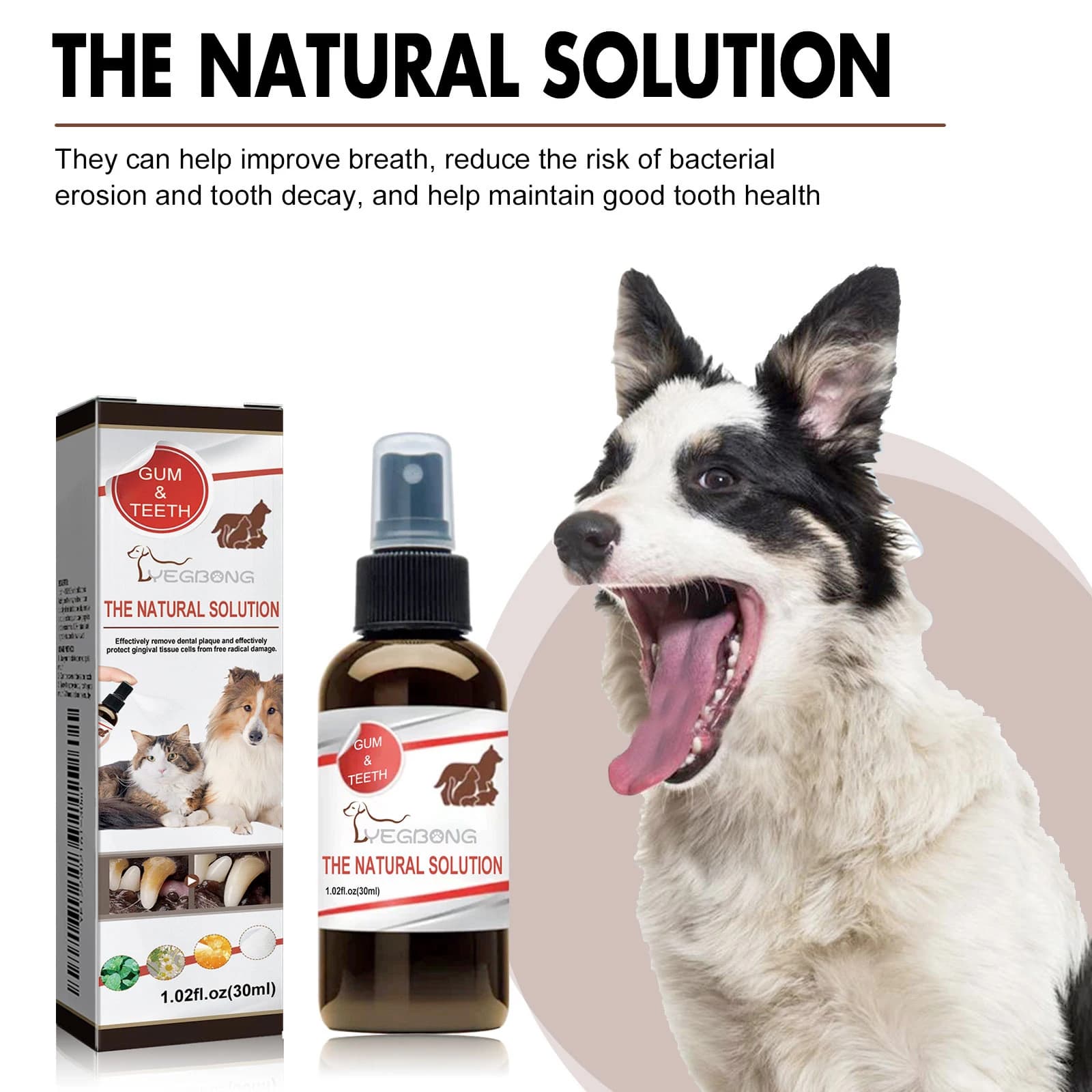 Spray per la pulizia orale degli animali domestici Rimuovi efficacemente le macchie dei denti Tartaro Elimina l'odore orale Rinfrescare l'alito Detergente per denti di cane Deodorante