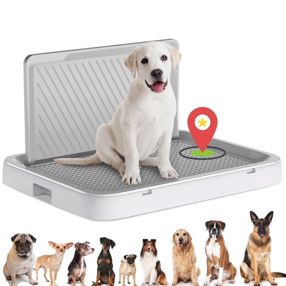 Toilette per cani, vaschetta igienica portatile con parete anti-schizzo, lettiera per addestramento cani, porta tappetini igienici