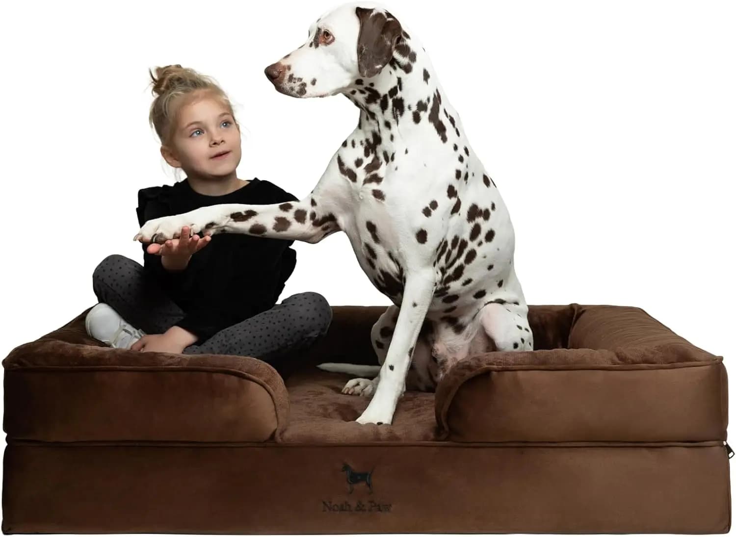 Cuccia Ortopedica XL per Cani con Gel Rinfrescante, Impermeabile e Lavabile, Stile Divano in Velluto
