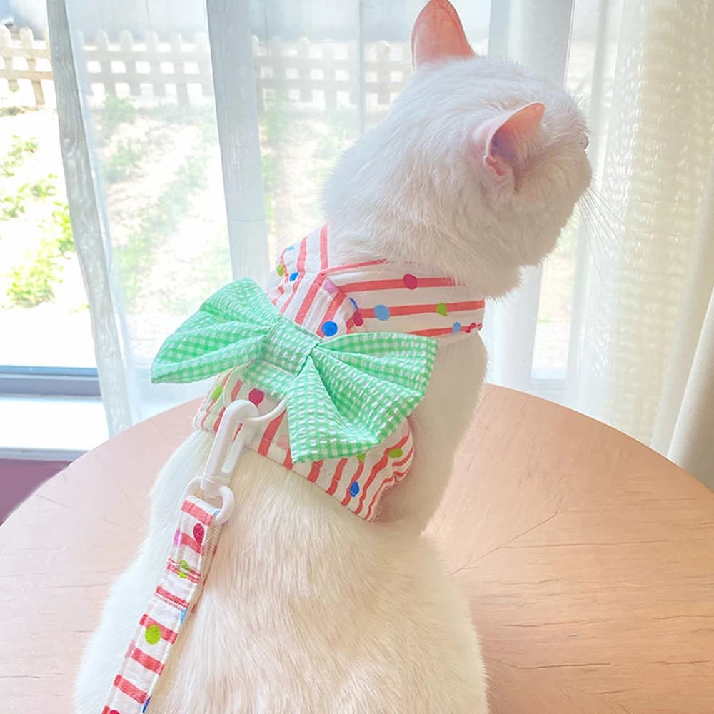 Summer Pet Bowknot Harness Vest Leash Small Dogs Bichon Outfit Adjustable Chest Strap No-Pull Walking Collar for Medium Dogs