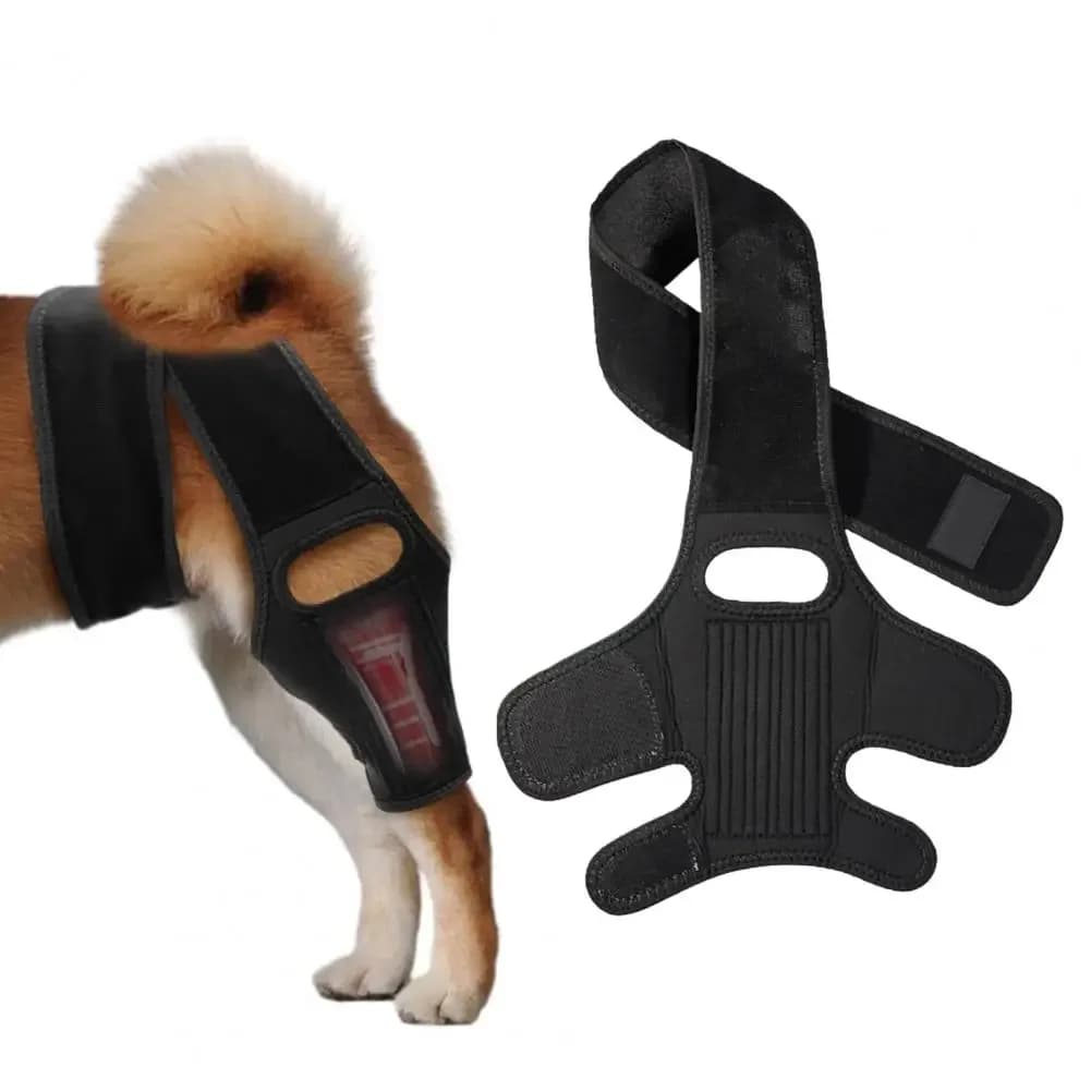 Ginocchio per anca per cani Tutore per gamba regolabile per cani ACL per la schiena posteriore Gambe posteriori posteriori strappate Displasia dell'anca Artrite Protezione per il ginocchio per animali domestici