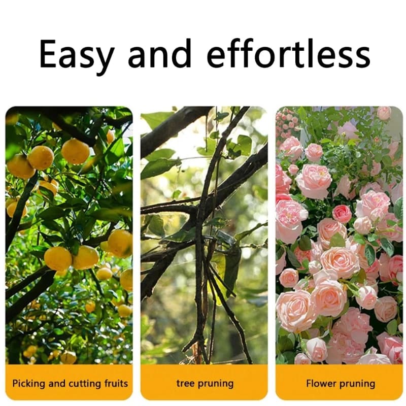 Garden pruning screen fruit branch graft for purteurs tips