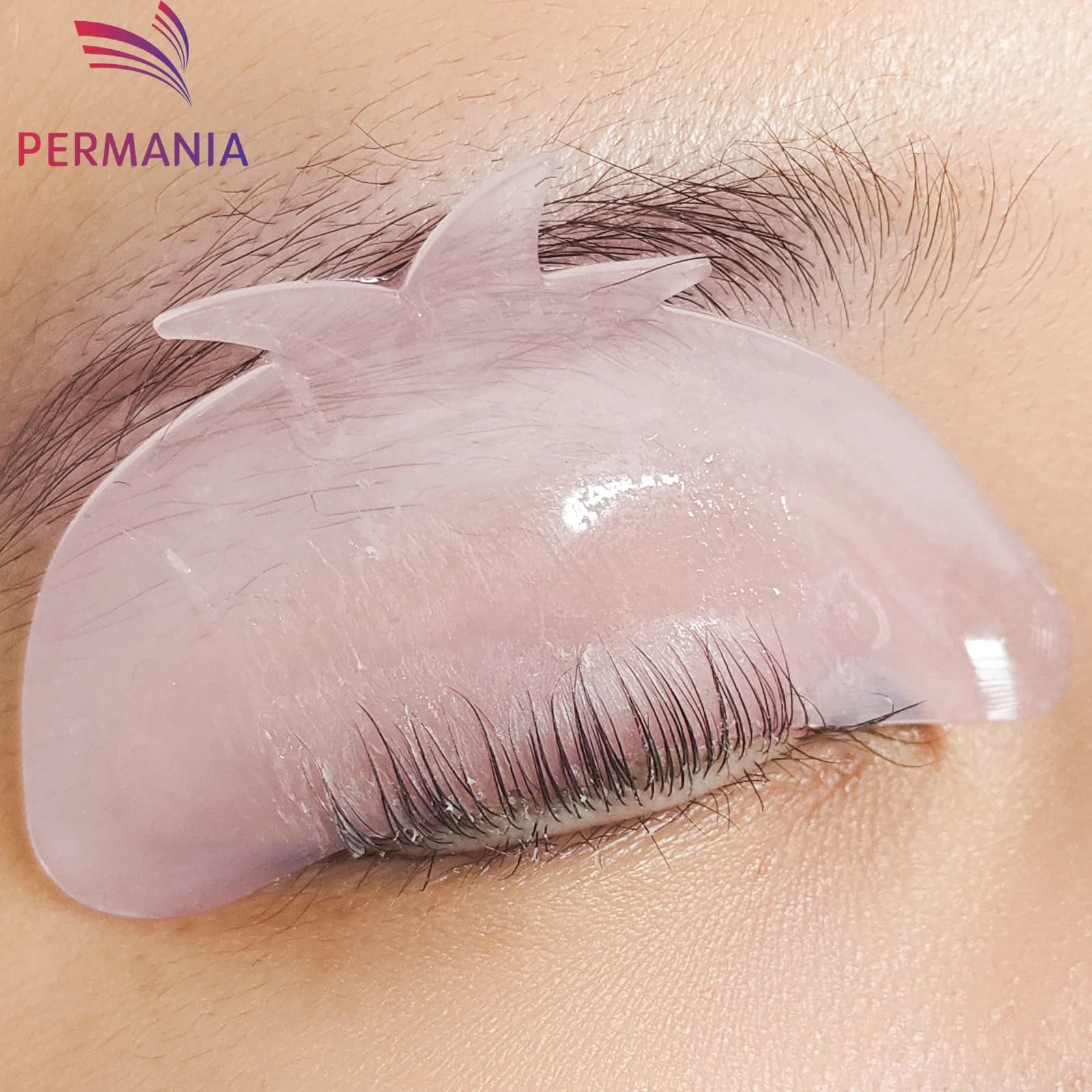 PEMANY 2 Pieces Tomato Shape Silicone Bearings for Permanent Eyelashes, 3D Eyelash Lift Stickers, Makeup Accessories