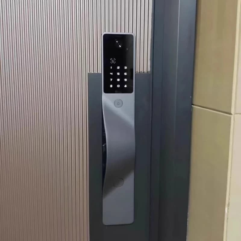 Serratura Palm Lock con batteria a lunga durata, ampio schermo con riconoscimento facciale e impronta digitale, serratura smart per porta.