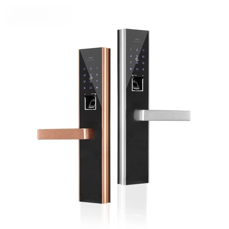Serratura elettronica antifurto intelligente personalizzata per hotel domestici Sblocco automatico APP Serratura intelligente per porta Blocco password per impronte digitali