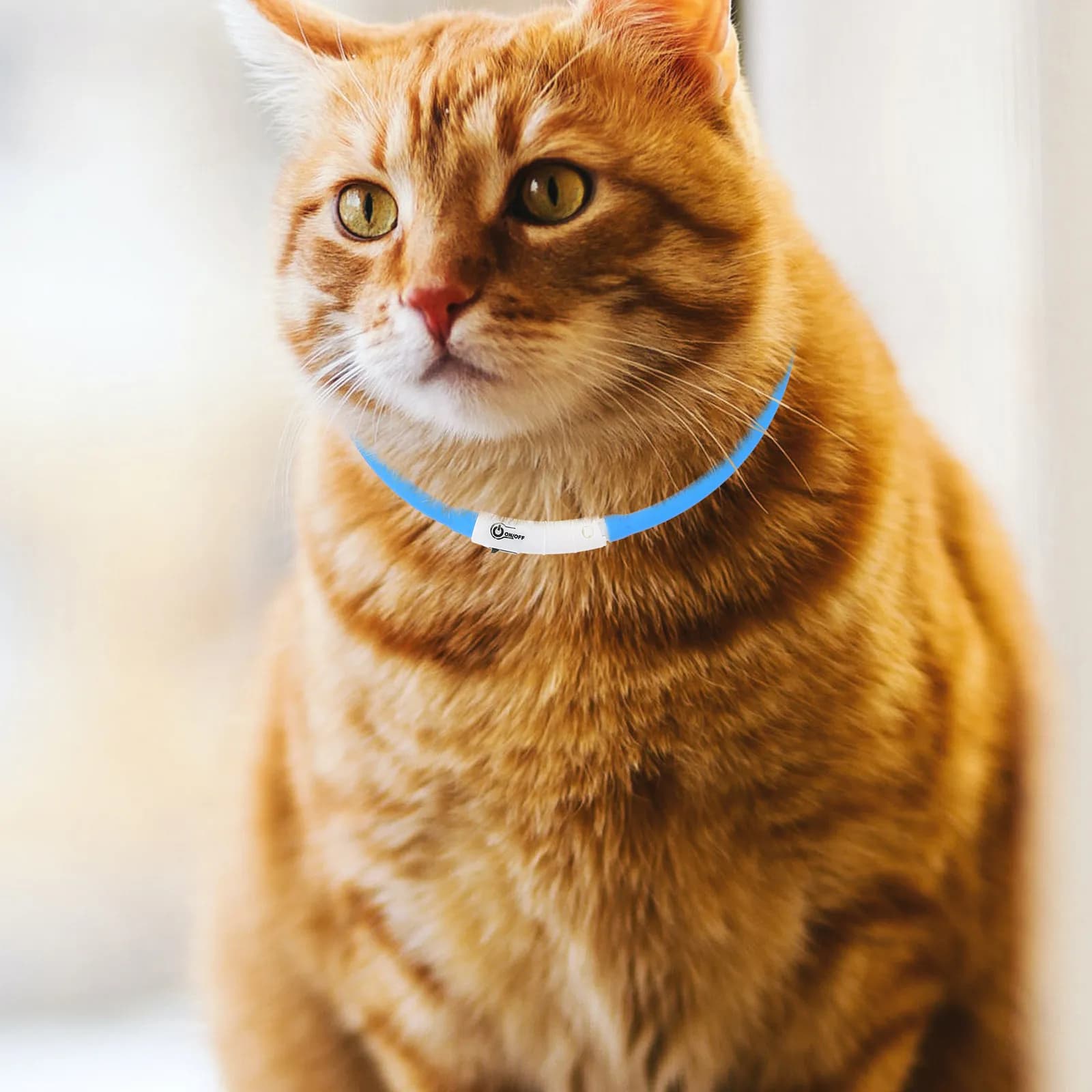 Collare LED per Animali Domestici, Luminoso per Sicurezza Notturna, Ricaricabile USB, per Gatti e Cani, Regolabile con Luce di Avvertimento Anti-Smarrimento