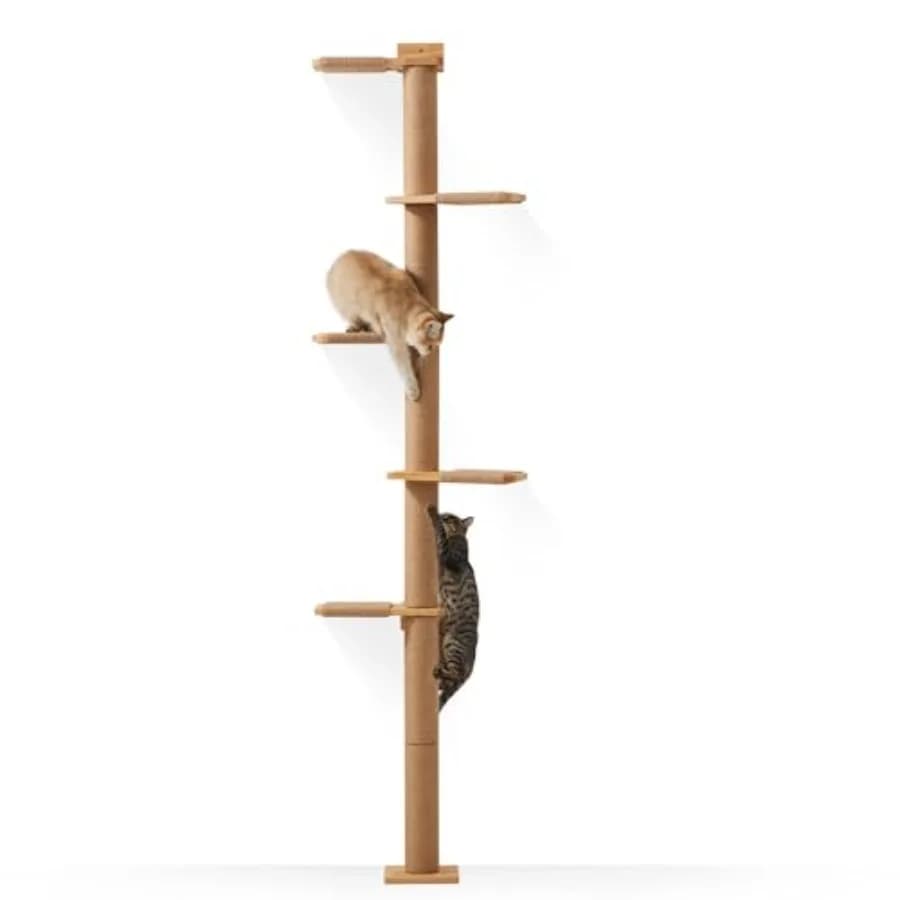 Albero per Gatti a 5 Livelli da Parete per Gatti Piccoli e Medi con Tiragraffi e Mensole da Interno in Grigio per Arrampicarsi e Scrattare