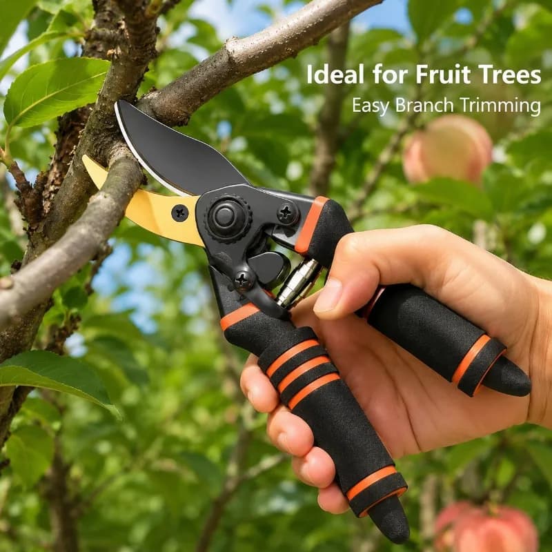 Fruit Tree Pruning Shears Garden Branch Cutter, Sharp Curved Blade Secateurs with Spring Assist, Safety Lock and Soft Foam Grip