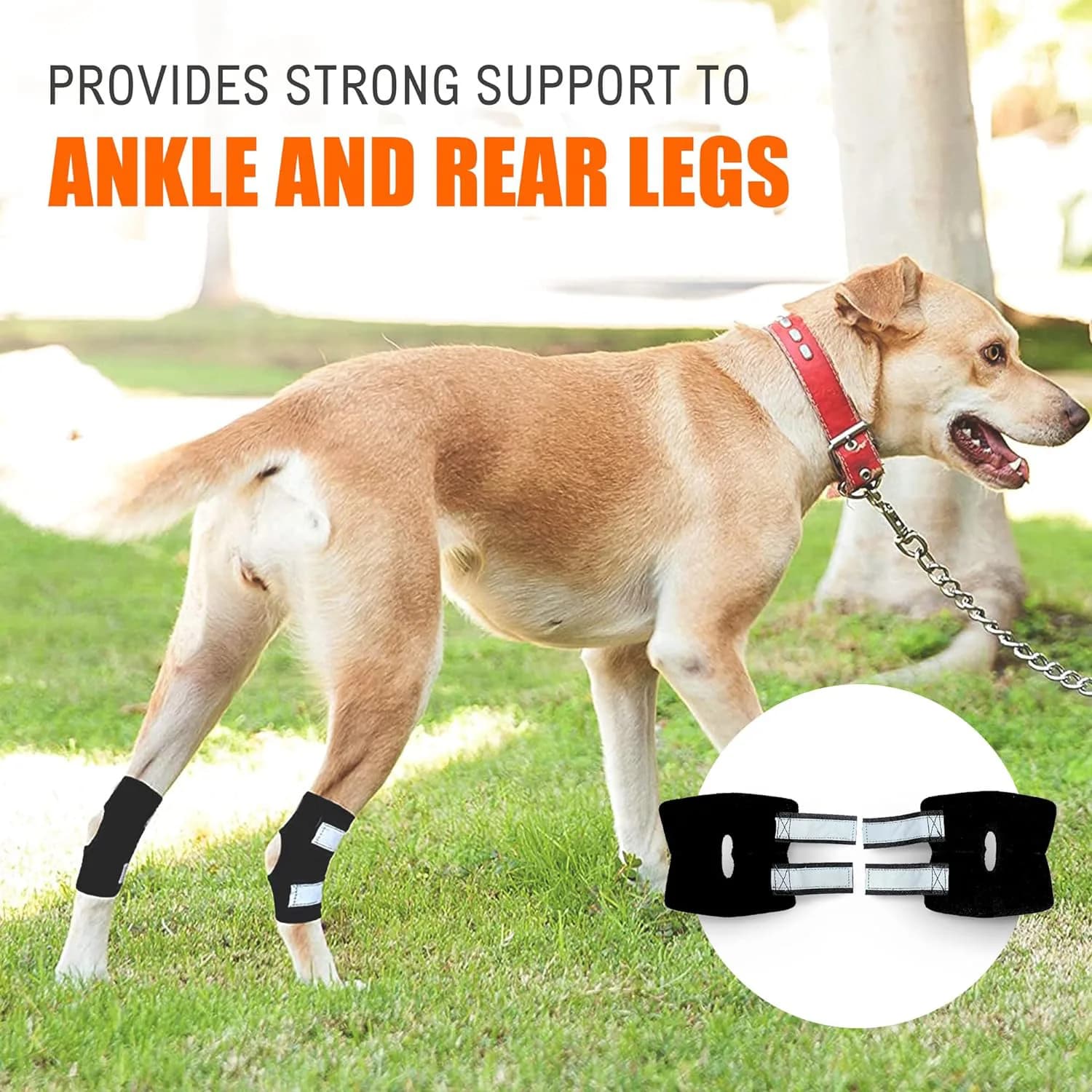 Tutore universale per ginocchiera per cani realizzato con ginocchiera riflettente in tessuto traspirante ed elastico Protezione per le gambe del cane Forniture per animali domestici